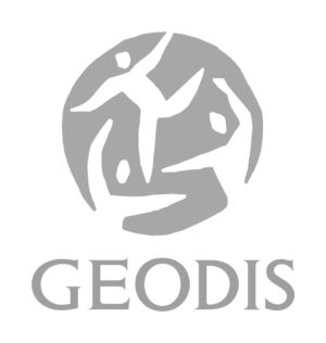 Logo GEODIS